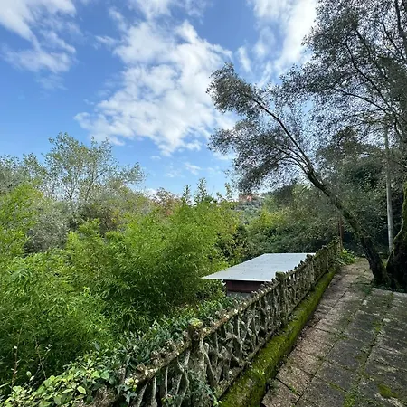 Casa de Férias Casetta Con Giardino A Monteluce